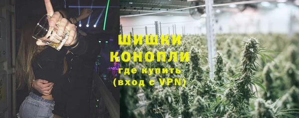 дмт Надым