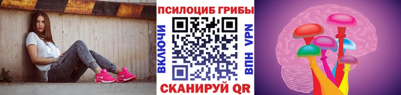 Псилоцибиновые грибы MAGIC MUSHROOMS  mega ТОР  Нахабино  закладки 